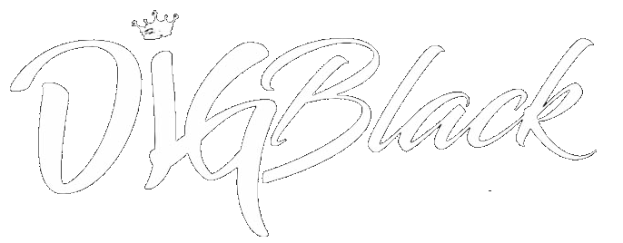 Dig Black Logo